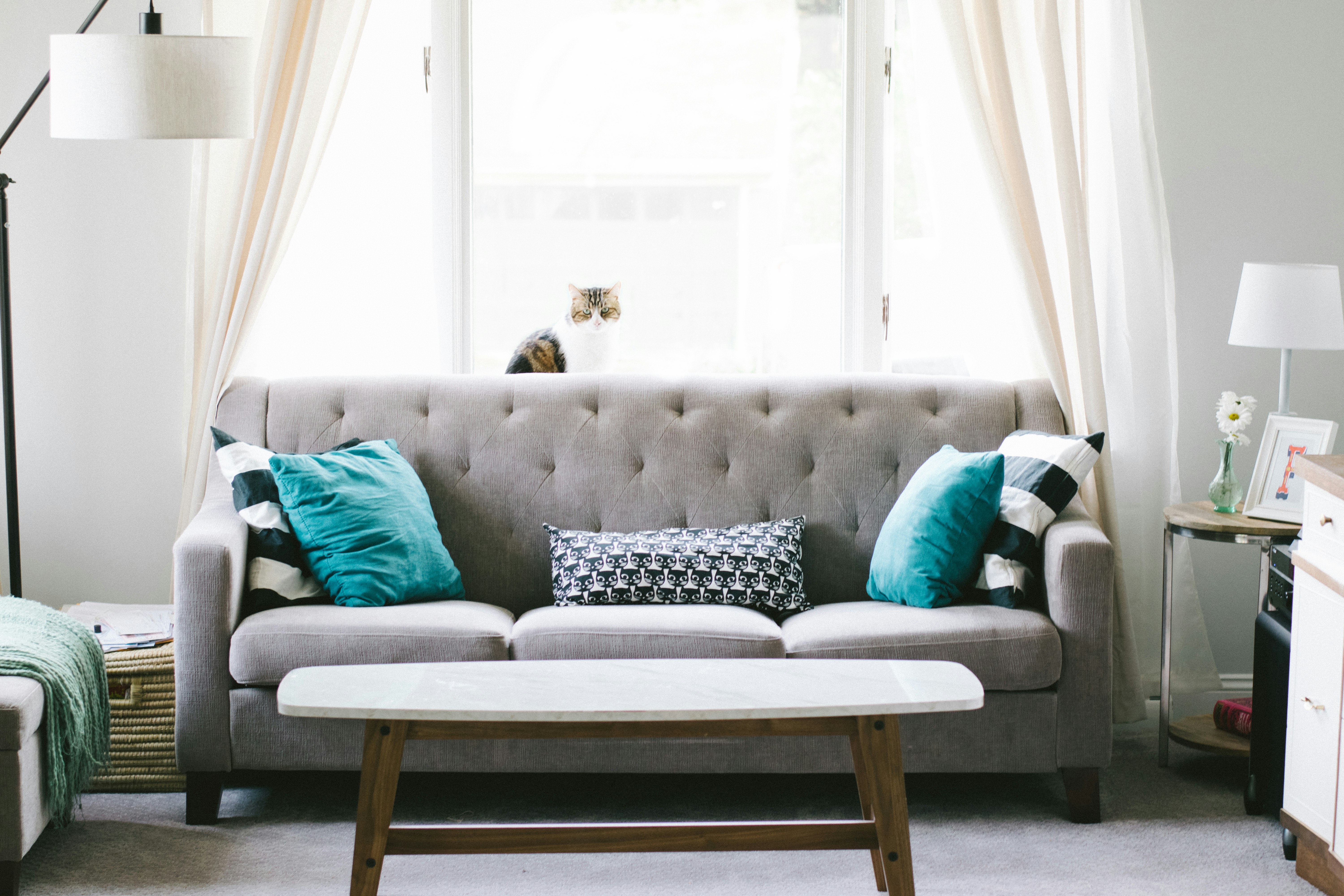 Interior daylight living room